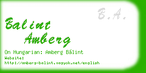 balint amberg business card