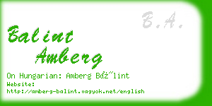 balint amberg business card